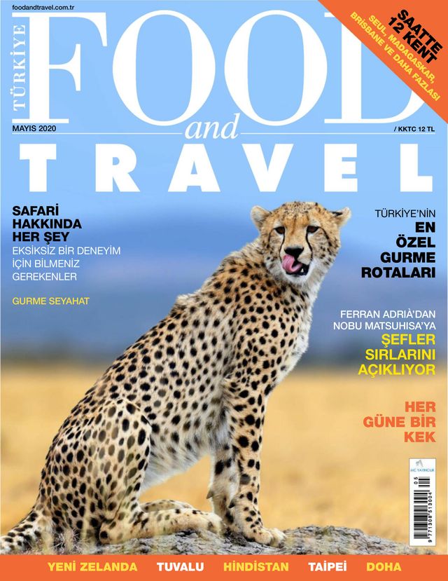 Food and Travel Turkiye