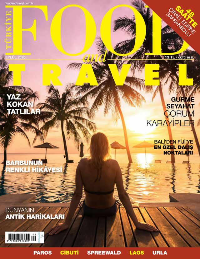 Food and Travel Turkiye