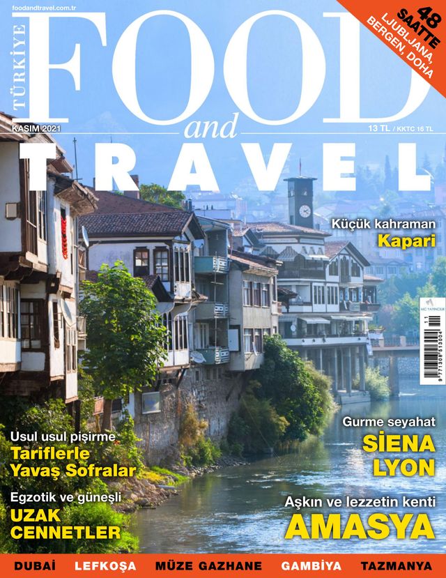 Food and Travel Turkiye