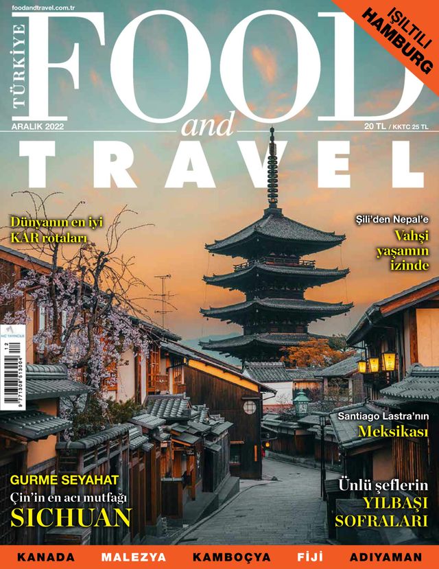 Food and Travel Turkiye