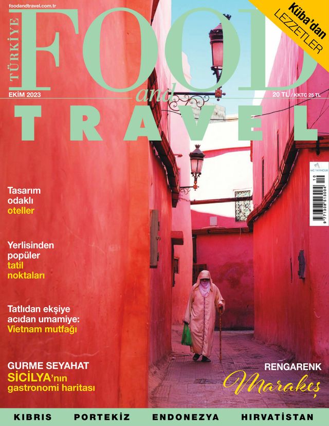 Food and Travel Turkiye