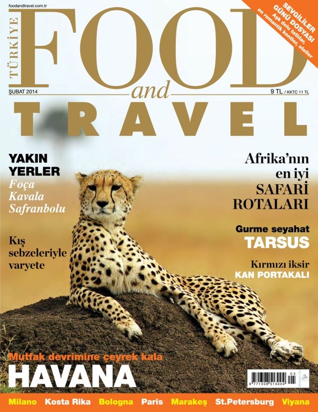 Food and Travel Turkiye