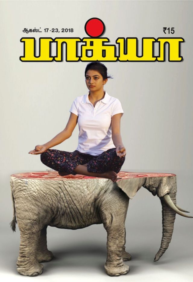 Go Unlimited with Magzter GOLD