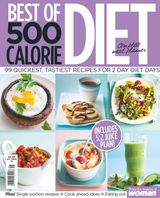 500 Calorie Diet 2016