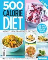 500 Calorie Diet 2 2016