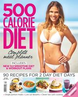 500 Calorie Diet 4 2016