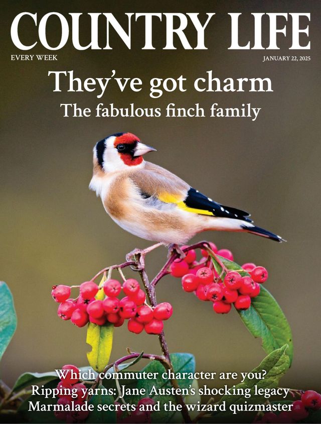 Country Life UK