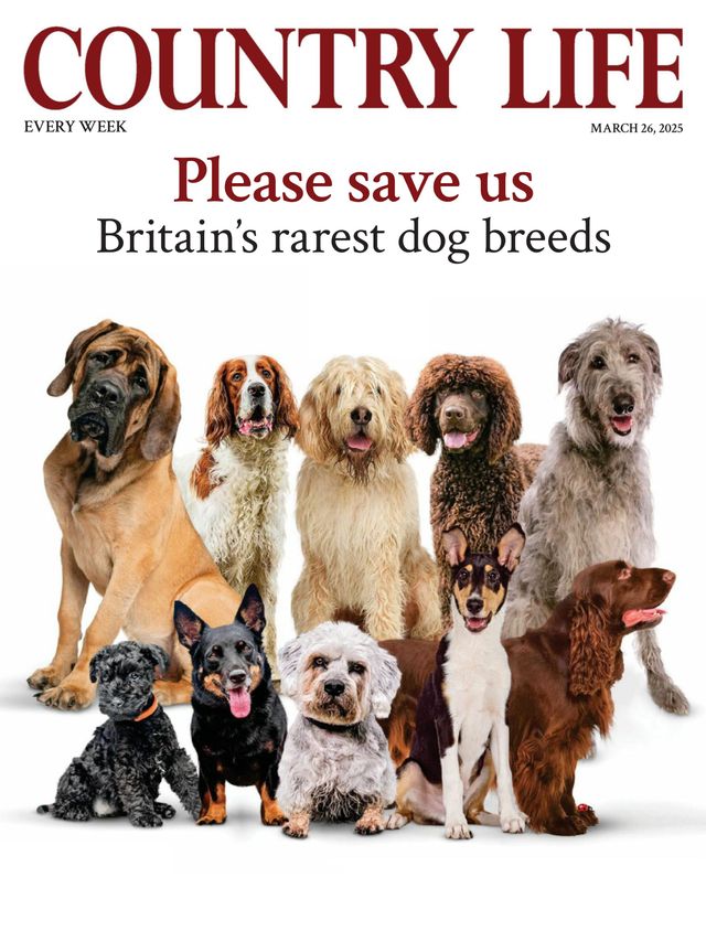 Country Life UK