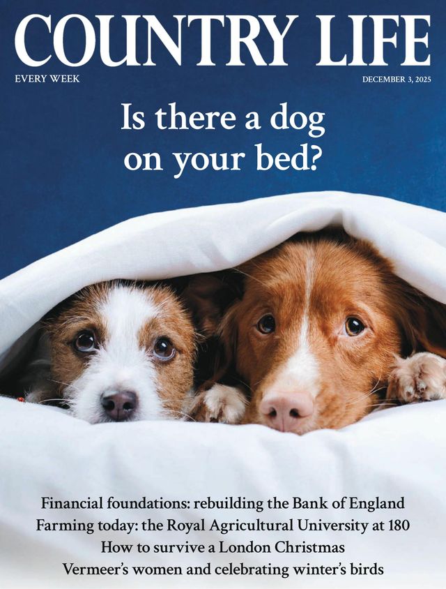 Country Life UK