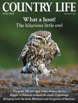 Country Life UK