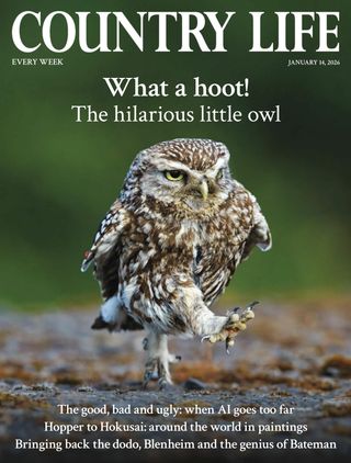 Country Life UK
