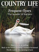 Country Life UK