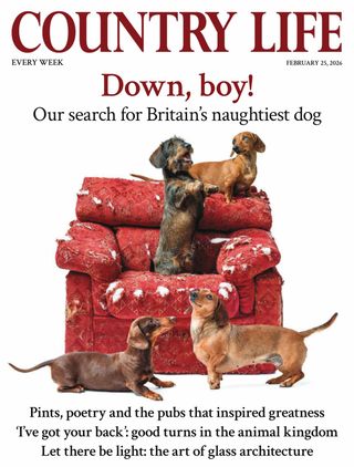 Country Life UK