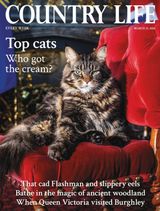 Country Life UK