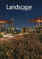 Landscape Middle East