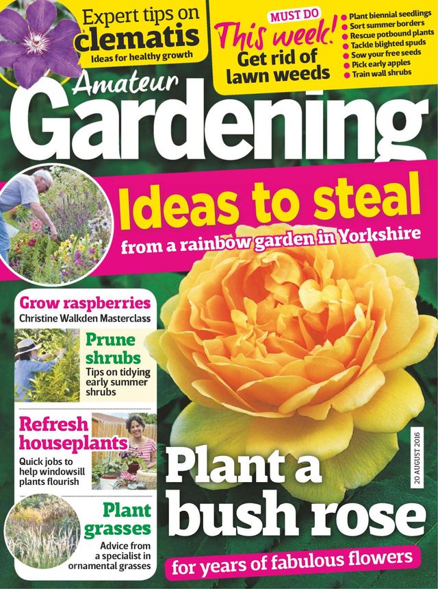 Amateur Gardening