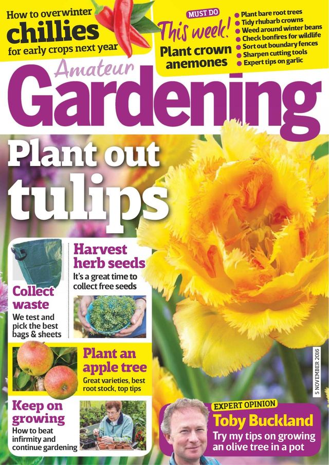 Amateur Gardening