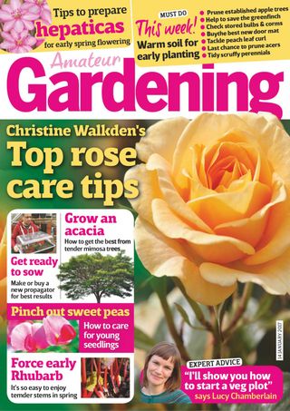 Amateur Gardening