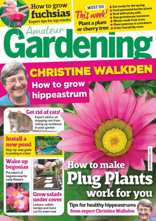 Amateur Gardening