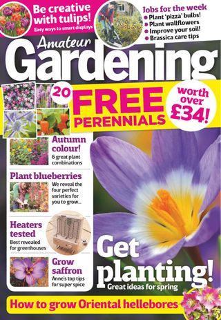 Amateur Gardening