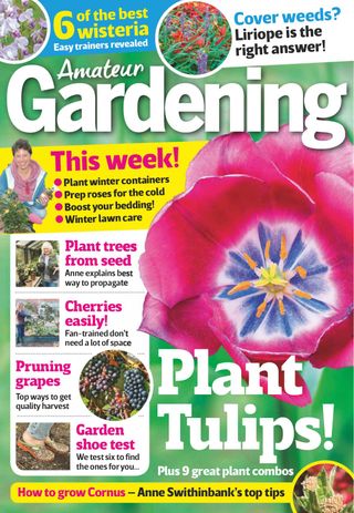 Amateur Gardening