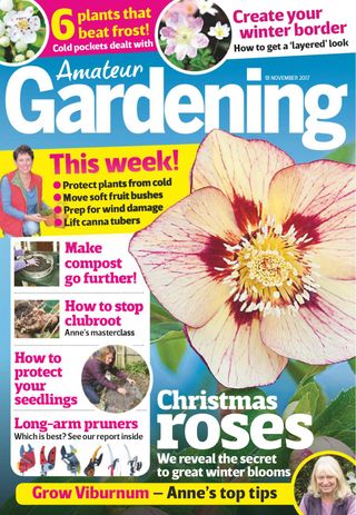 Amateur Gardening