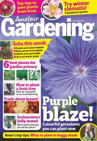Amateur Gardening