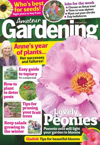Amateur Gardening
