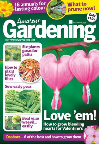 Amateur Gardening