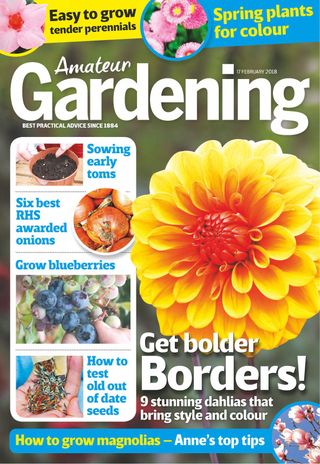 Amateur Gardening