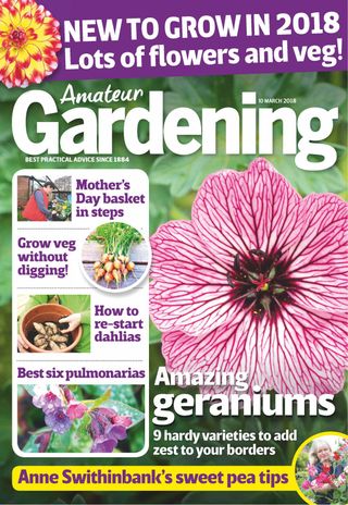 Amateur Gardening