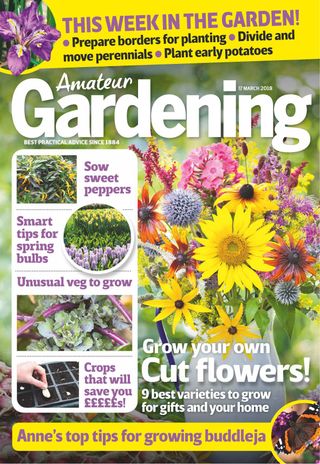 Amateur Gardening