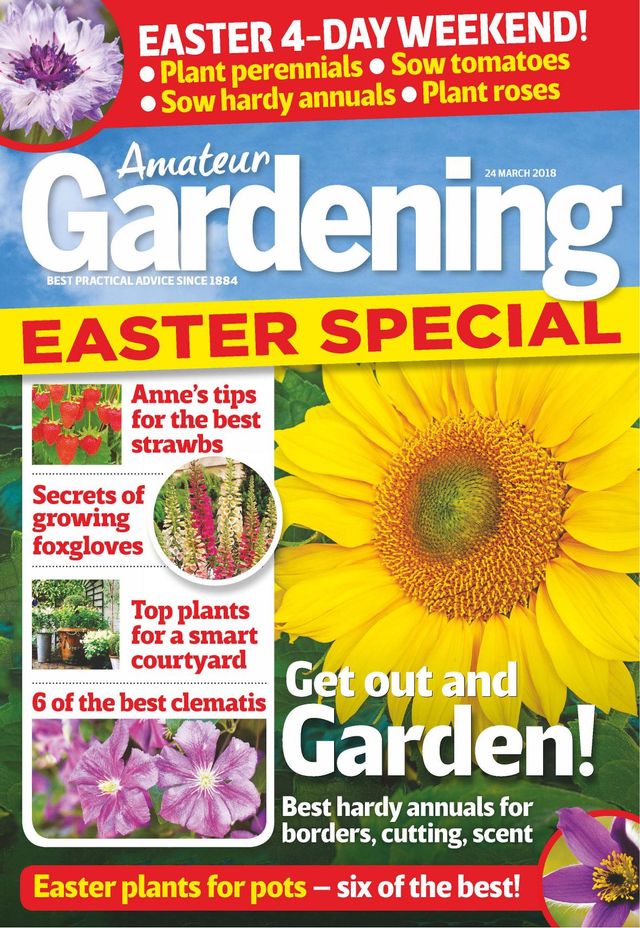 Amateur Gardening