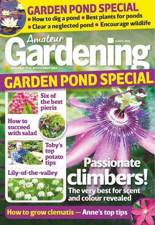 Amateur Gardening