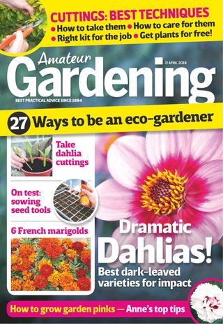 Amateur Gardening