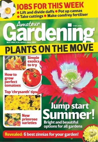 Amateur Gardening