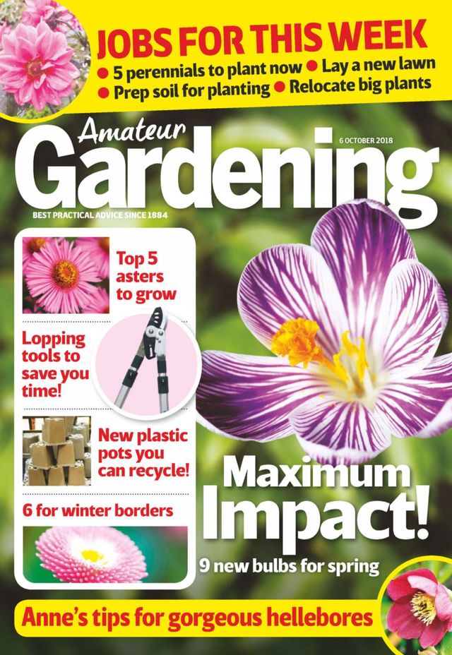 Amateur Gardening