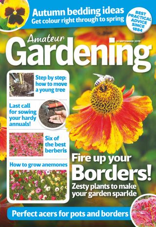 Amateur Gardening