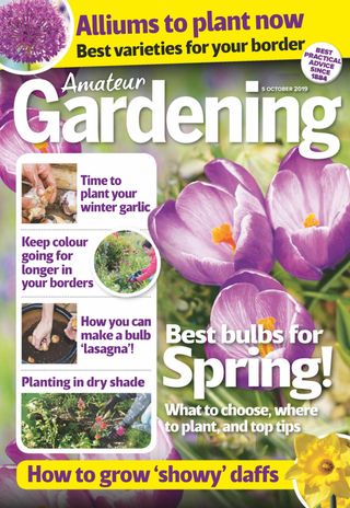 Amateur Gardening