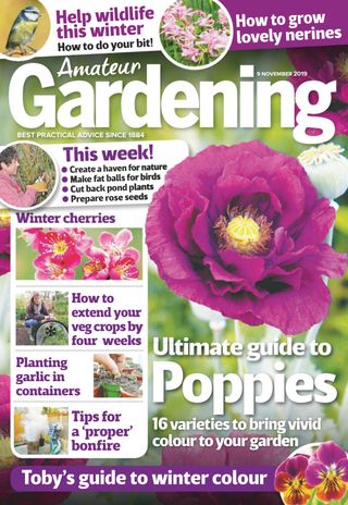 Amateur Gardening