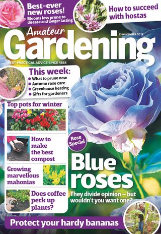 Amateur Gardening