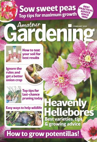 Amateur Gardening