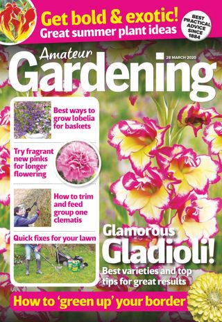 Amateur Gardening