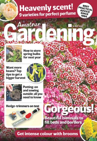 Amateur Gardening