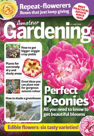 Amateur Gardening