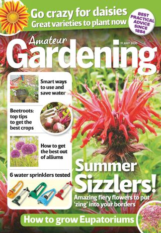Amateur Gardening