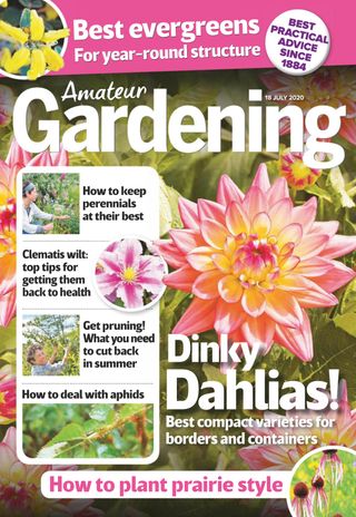 Amateur Gardening