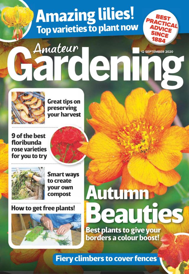 Amateur Gardening