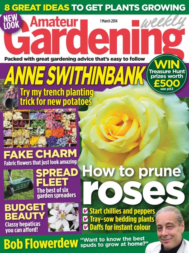 Amateur Gardening