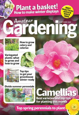 Amateur Gardening